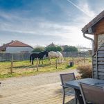 gite - La Cabriole des Lacs - BRIEL SUR BARSE - Aube